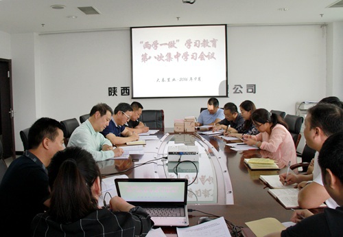 大秦置業公司 ：“三個三”引領“兩學一做”學習教育常態化制度化  蓄力“雙特百億”勇爭先