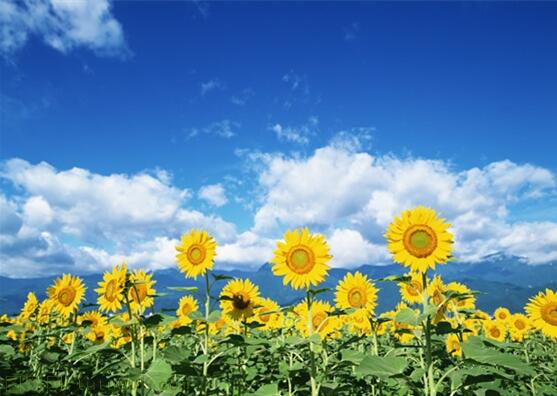 用責任點燃青春，以擔當成就事業