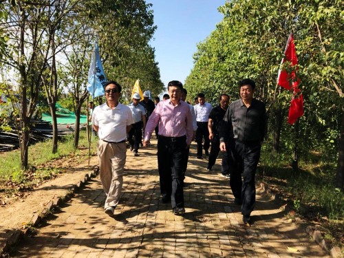 陜西省總工會黨組書記、主席白阿瑩一行蒞臨鄠邑區調研考察草堂寺健康養老示范項目