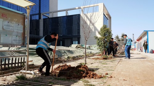 陜煤建設澄合分公司基層單位開展“植樹護綠，美麗家園”義務植樹活動