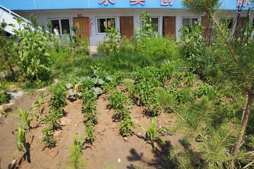 陜煤建設(shè)掘進公司：北翼項目部走出一條綠色發(fā)展路