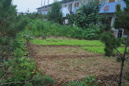 陜煤建設掘進公司:北翼項目部“綠色農場”開張啦