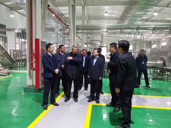 陜煤集團黨委副書記尤西蒂一行蒞臨清澗北國棗業紅棗深加工項目檢查指導工作