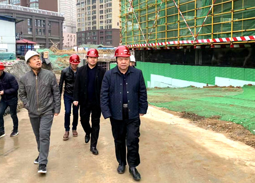 寧興剛深入大秦置業公司龍灣水境項目檢查指導工作