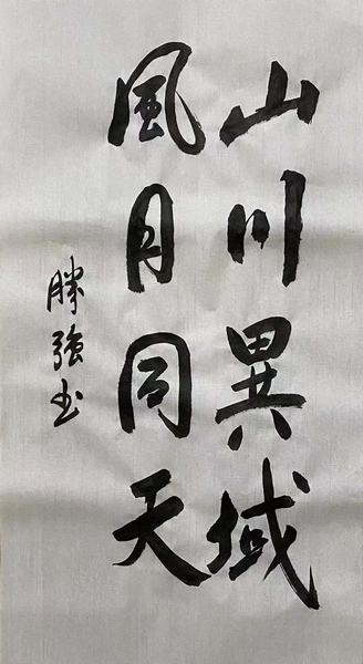 抗擊新冠書法作品