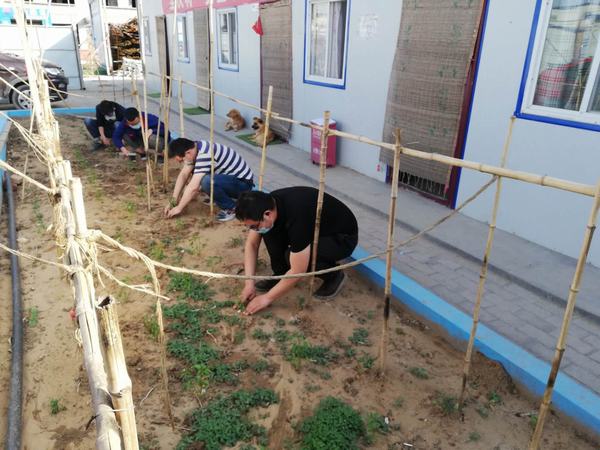 陜煤建設韓城分公司土建十項目部弘揚“五四”精神播種希望之田
