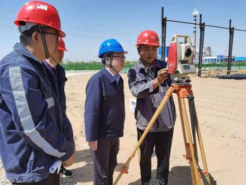 陜煤建設洗選煤運營公司佳縣甜葉菊項目部：技術保質量 安全促發展