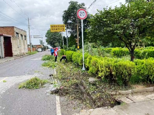 “澄合紅”點亮“志愿燈”