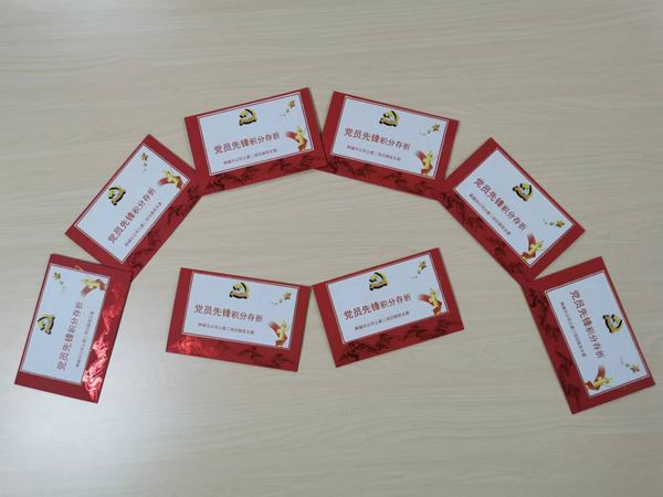 “黨員先鋒”的播種、開花與結(jié)果