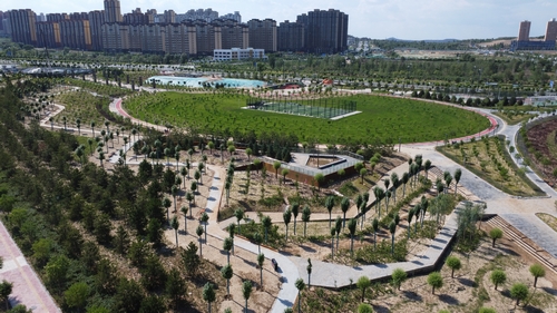 璀璨燈光扮靚城市 運動公園夜景美如畫