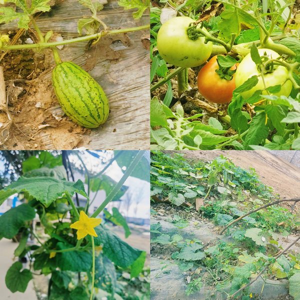 陜煤建設路橋分公司全心全意打造基層項目“幸福家”