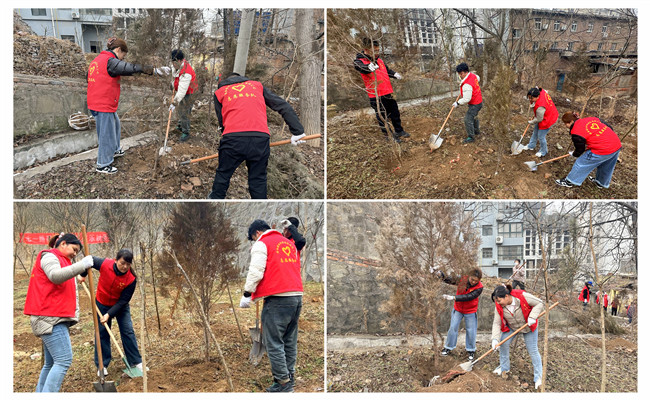 陜煤建設(shè)機(jī)電安裝公司：走，上春山，植樹去！