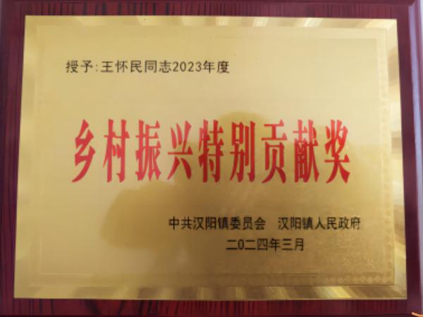 陜煤建設駐村工作隊獲得漢陰縣漢陽鎮“鄉村振興特別貢獻獎”