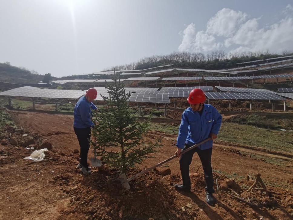 陜煤建設西北分公司機電安裝項目部： 全員參與，共筑綠色屏障