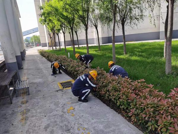 陜煤建設洗選煤運營公司神渭蒲城運營項目部：逐”綠”而行 向”綠”而興！廠區(qū)綠化在行動