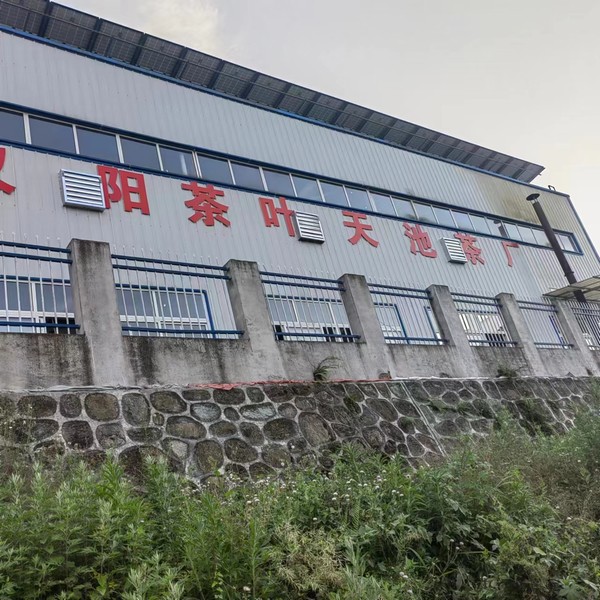 實事一件接著一件，跑出鄉村振興“加速度”