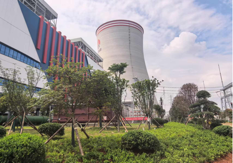 陜煤建設西北分公司：綠意盎然入電廠，生態建設譜新章