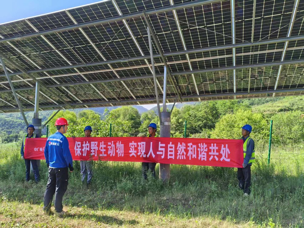陜煤建設(shè)西北分公司機(jī)電安裝項目部：為野生動物撐起“生態(tài)保護(hù)傘”