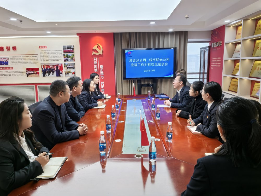 黨建互鑒強(qiáng)堡壘 協(xié)同賦能譜新篇