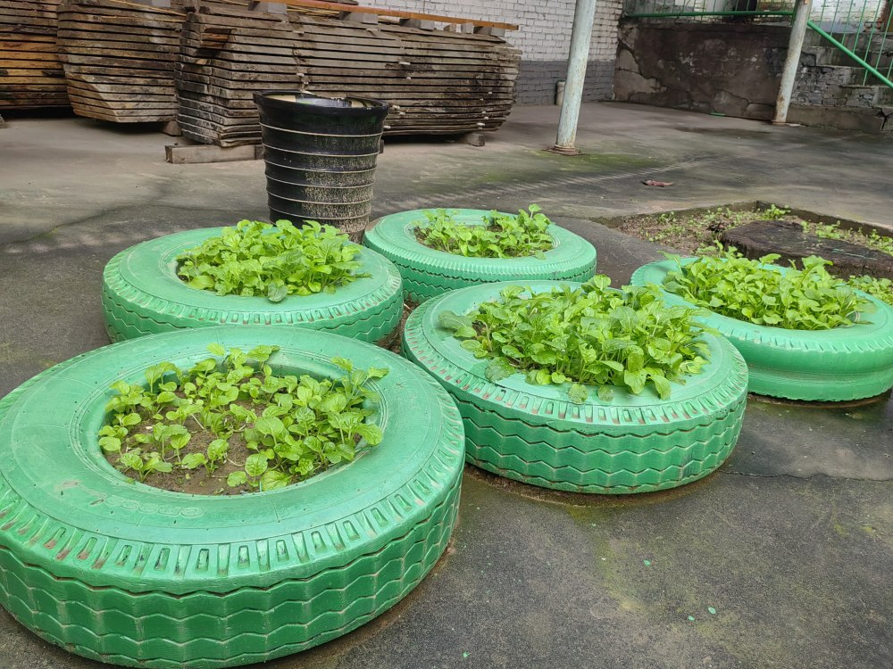 創意無休，廢舊輪胎也能C位出道