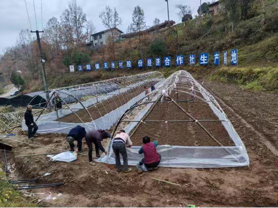 陜煤建設定點幫扶村：以“五化”實踐助力鄉(xiāng)村全面振興